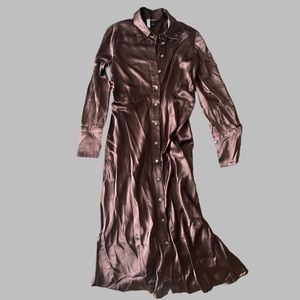 Banana Republic Brown Muse Silk Maxi Dress